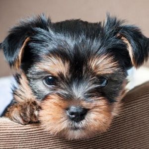 Meet your Posher, Kaitlyn